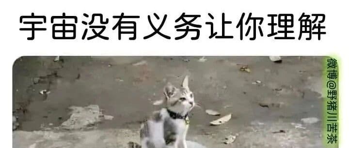 解卦与算命「易学游记2」