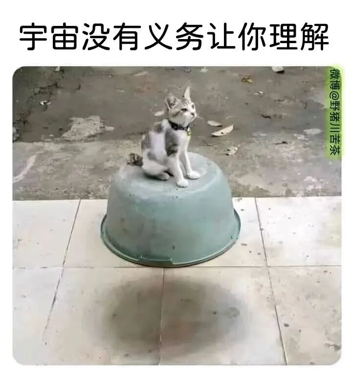 顺势顺流的配图